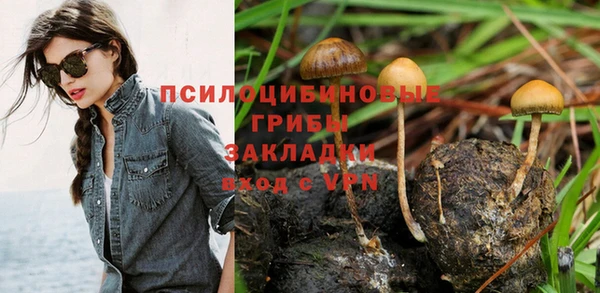 наркотики Белокуриха